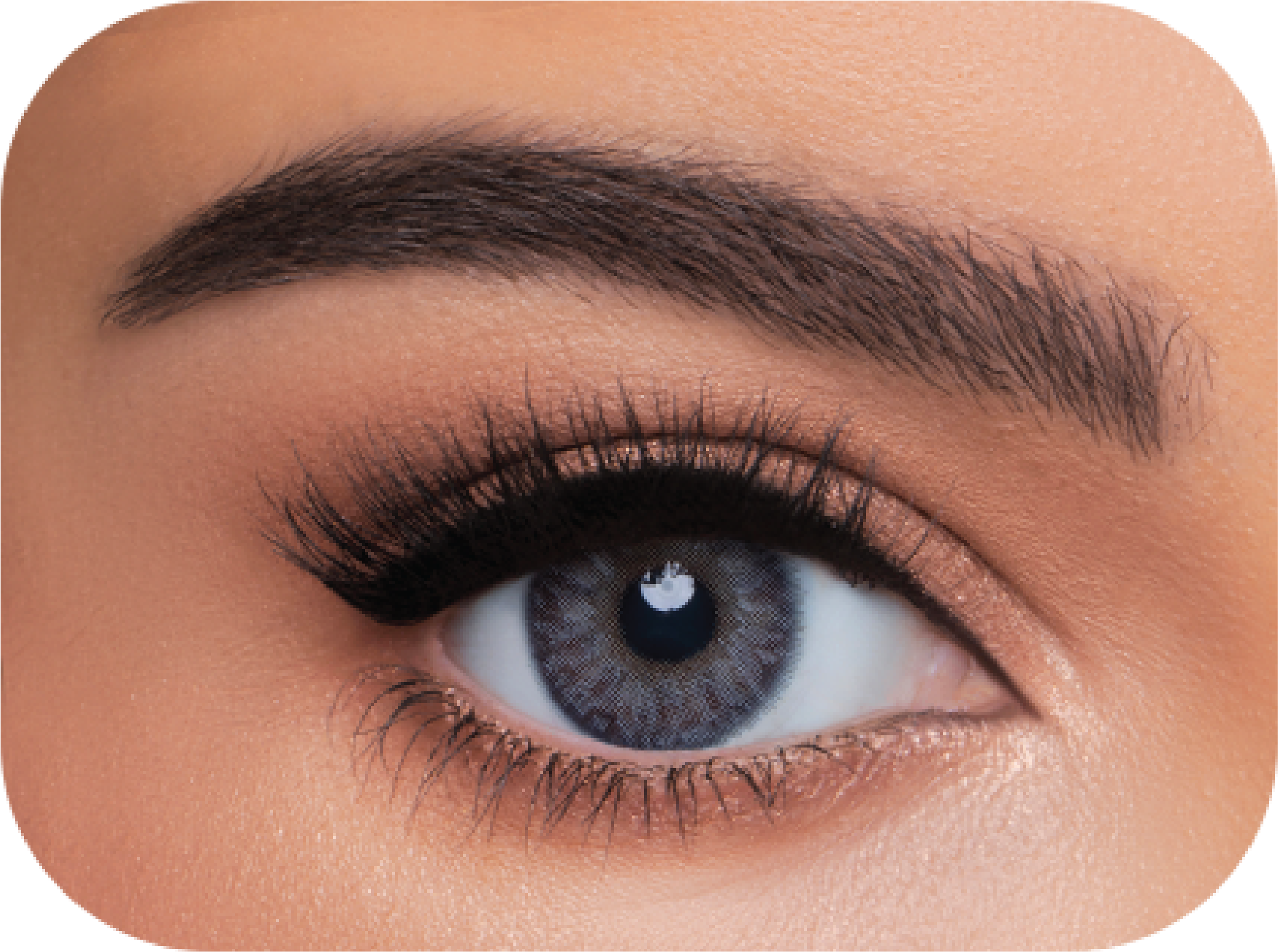 Wonderlook Ash