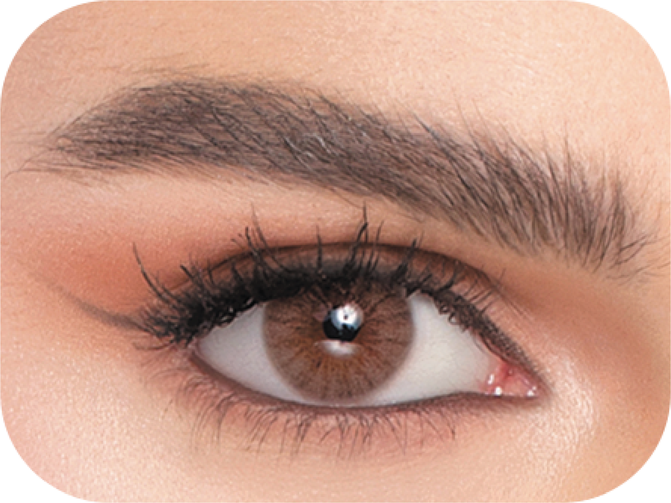 Naturèl Core Brown