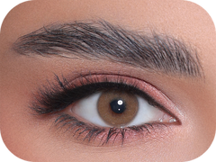 3D HAZEL