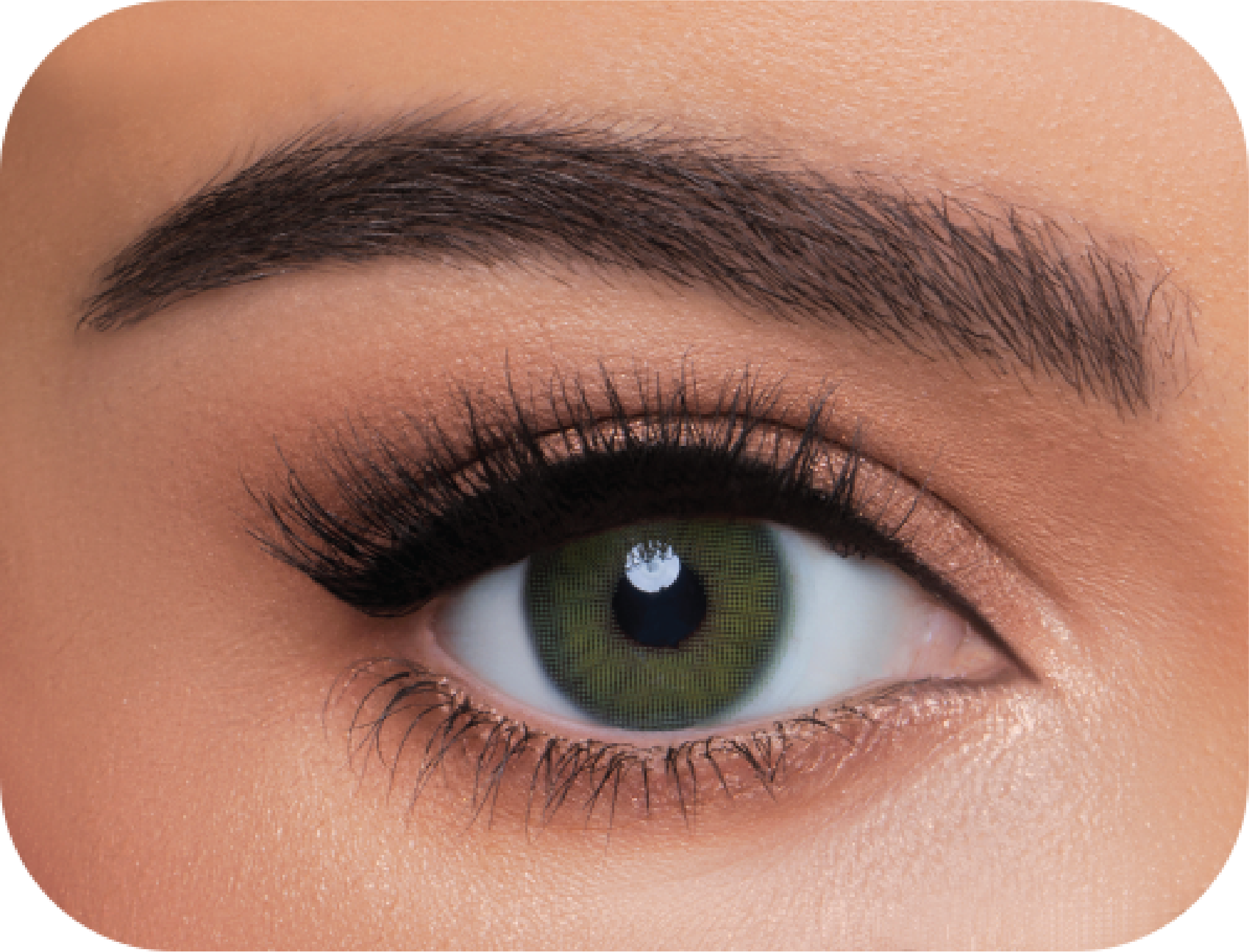 Wonderlook Mint