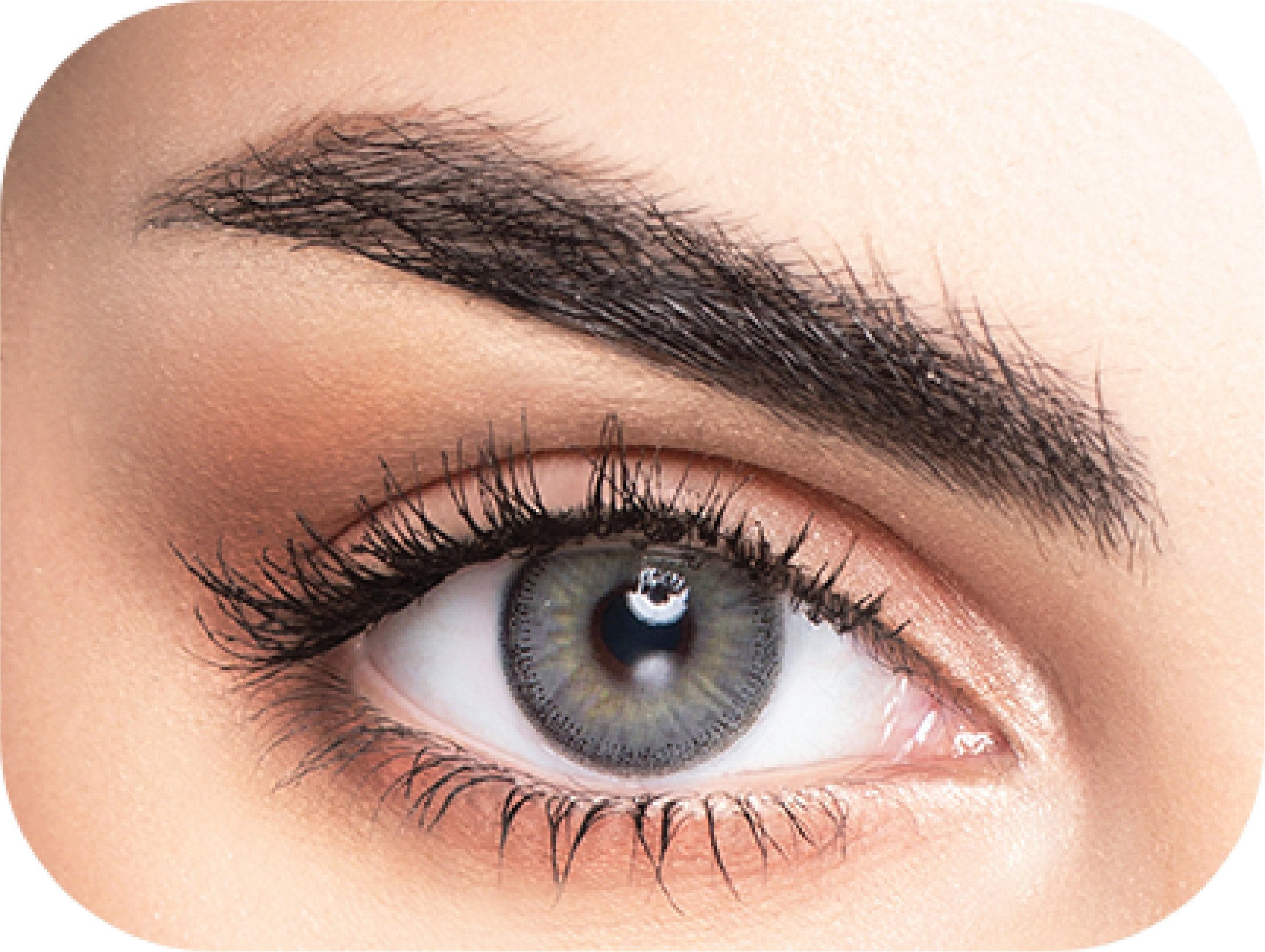 MyLense Oro Hazel