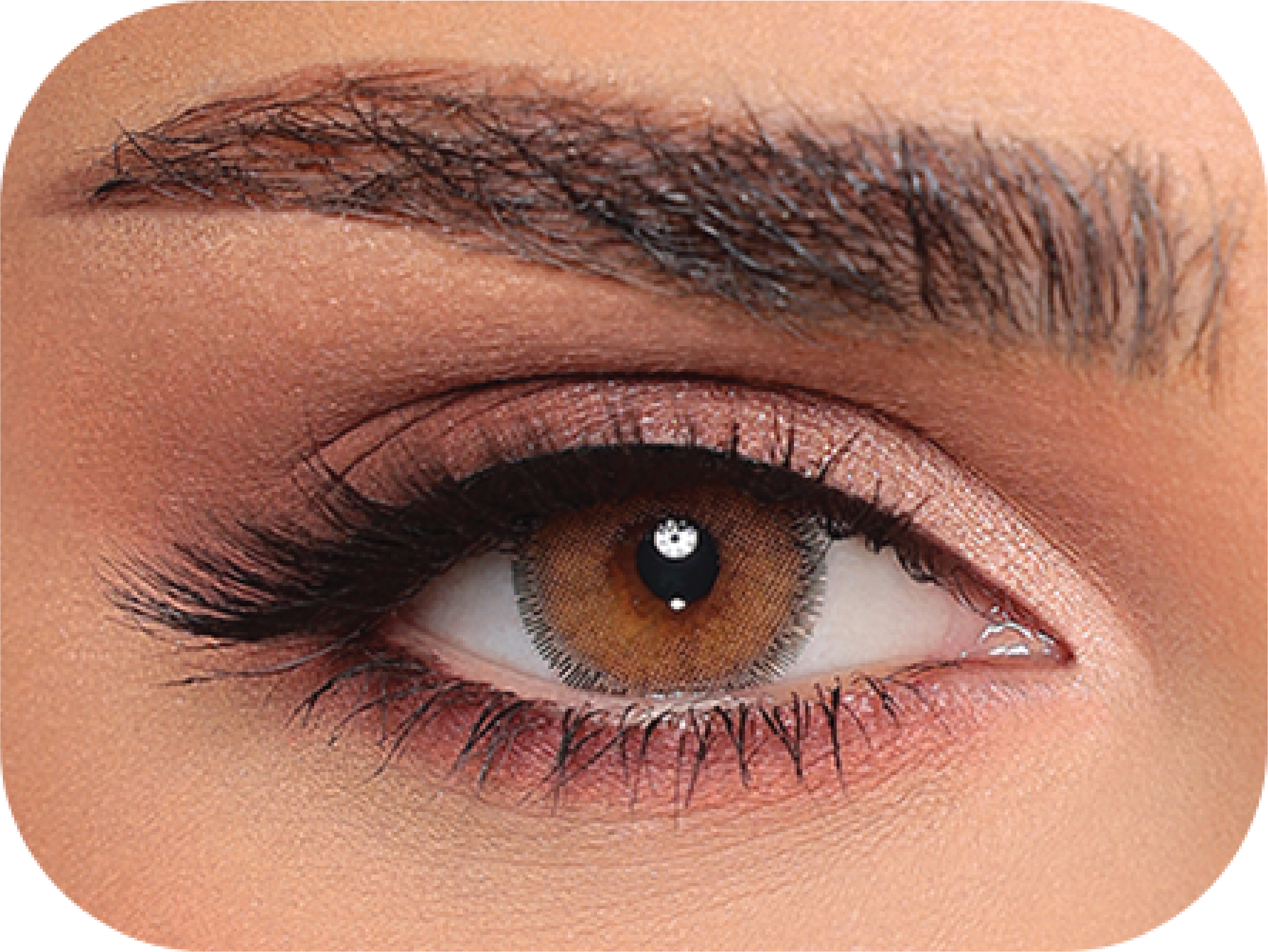 Luminous Latin Brown