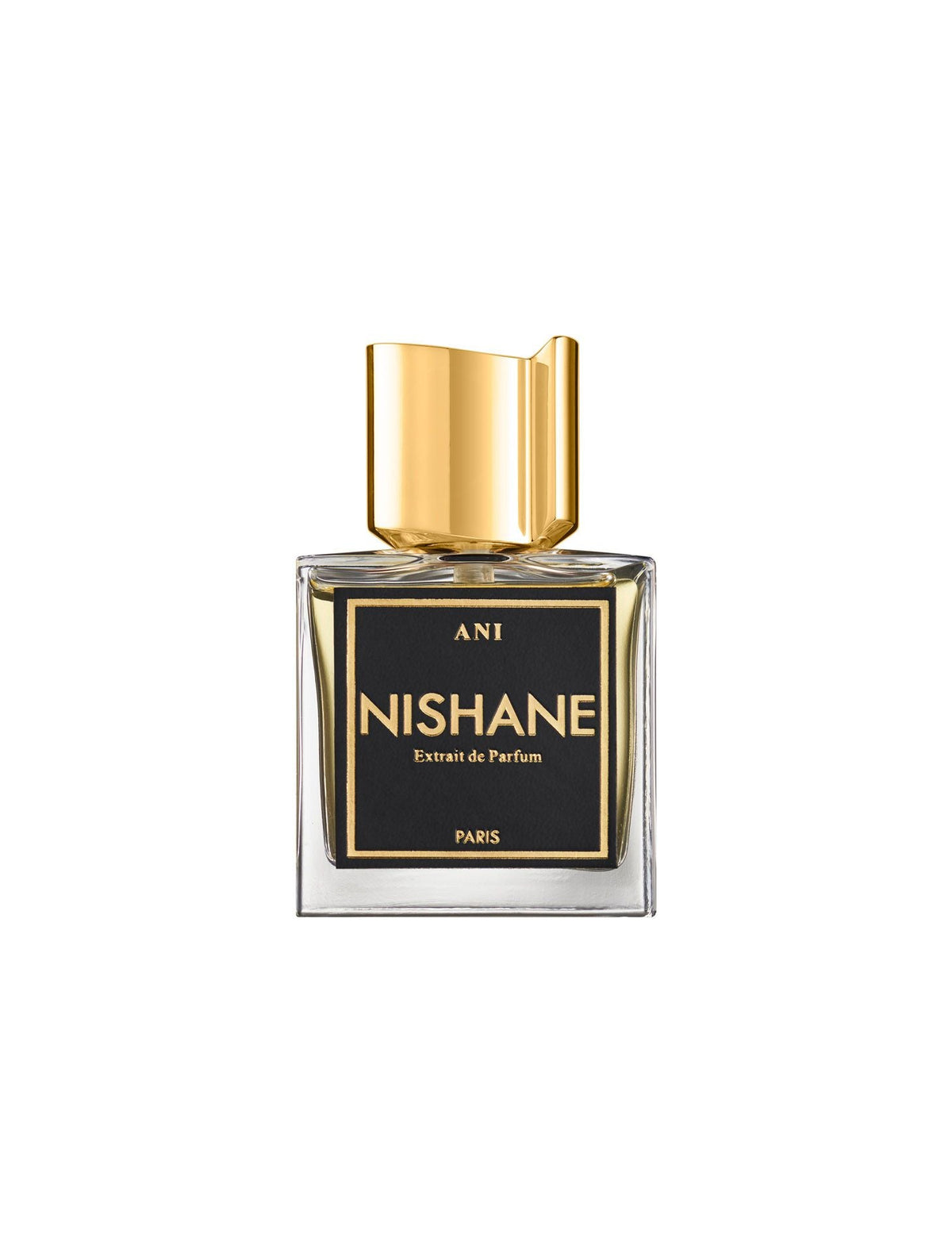 ANI Extrait de Parfum By Nishane 100ml (without box)