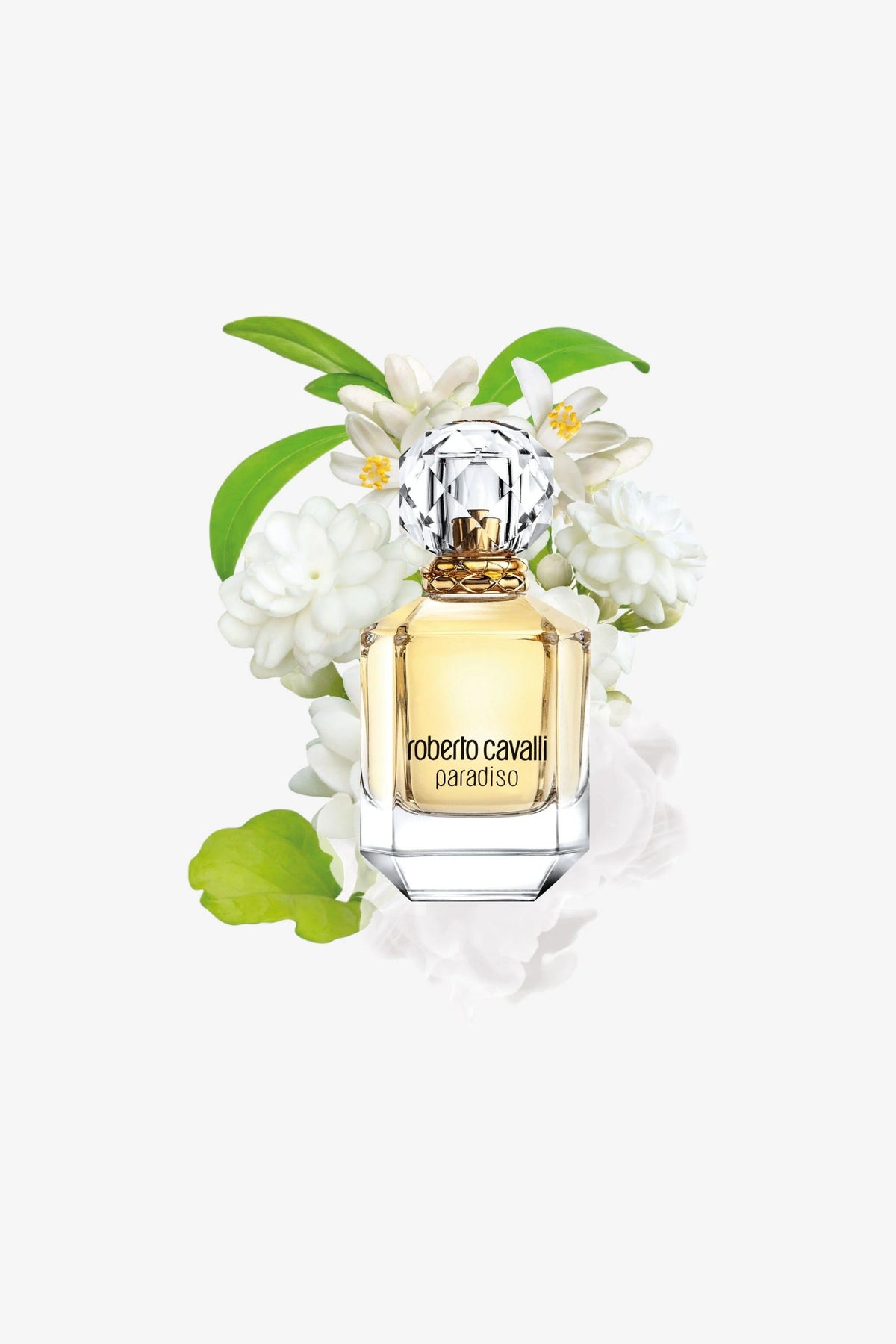 ROBERTO CAVALLI PARADISO 75 Ml