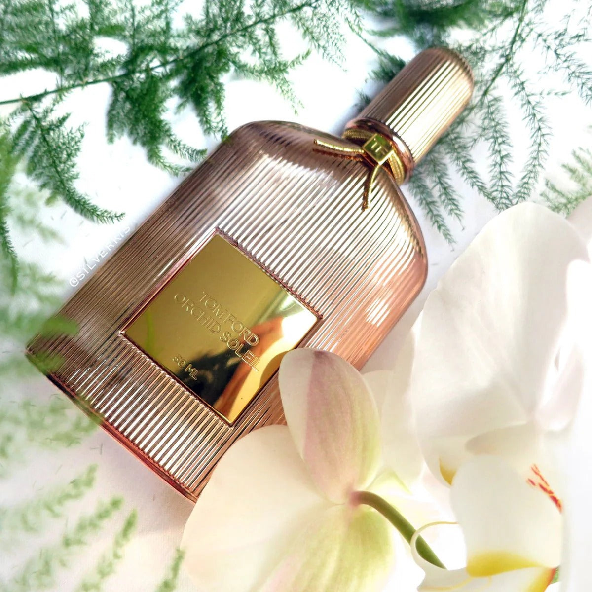 Tom Ford Orchid Soleil 100ML