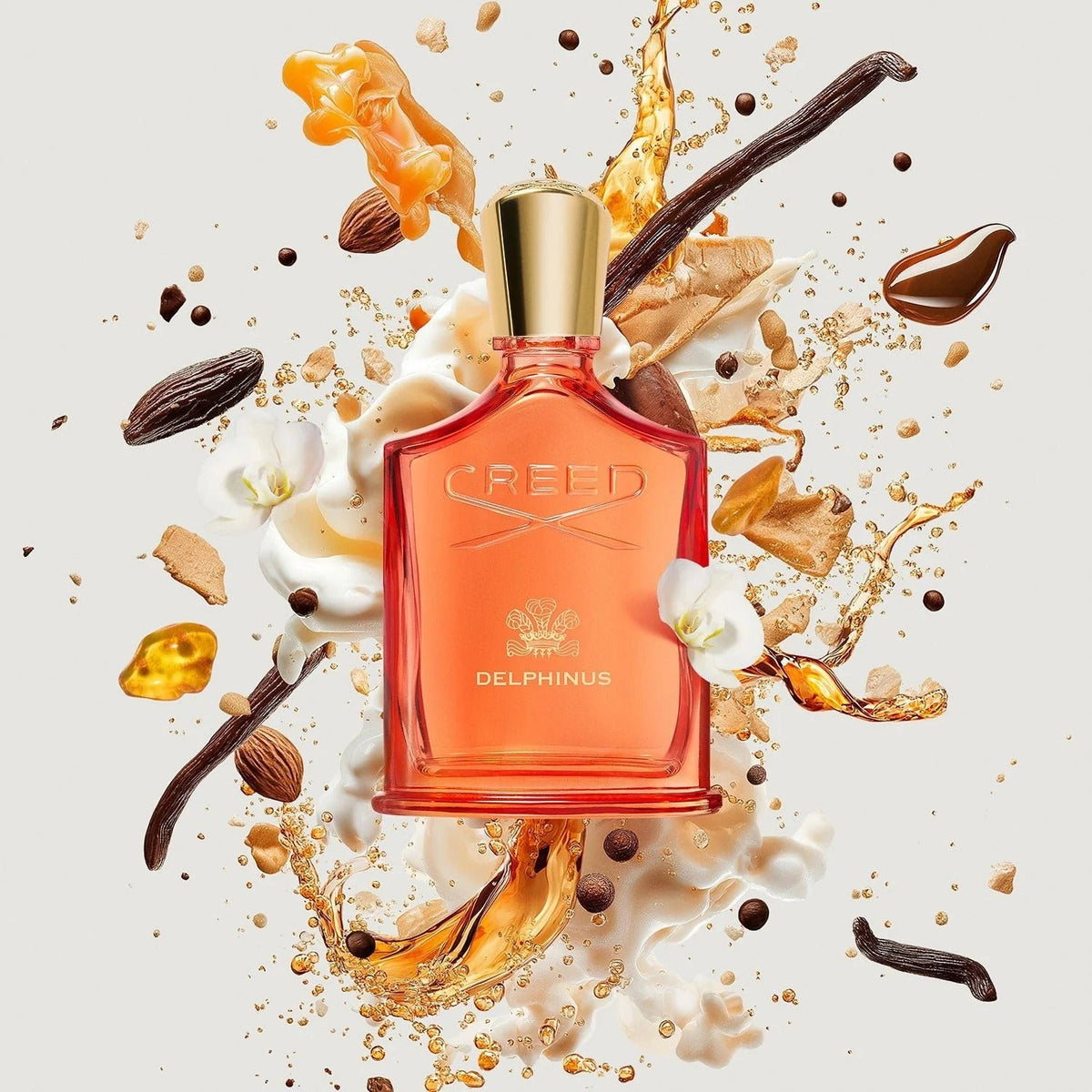 Delphinus 100ML