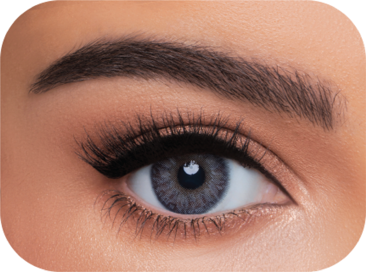WonderLook (4 Packs) Cosmetic