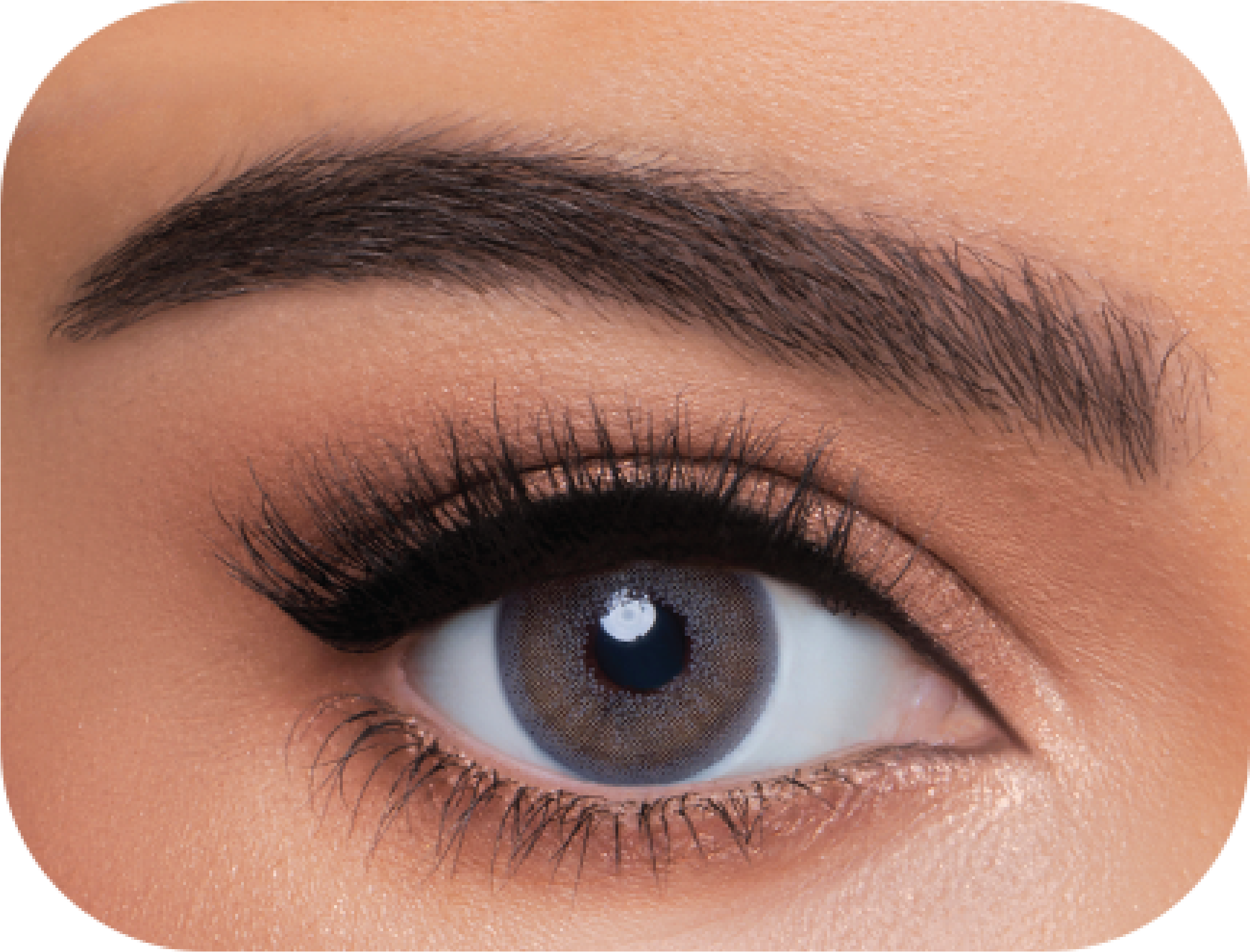 WonderLook (4 Packs) Cosmetic