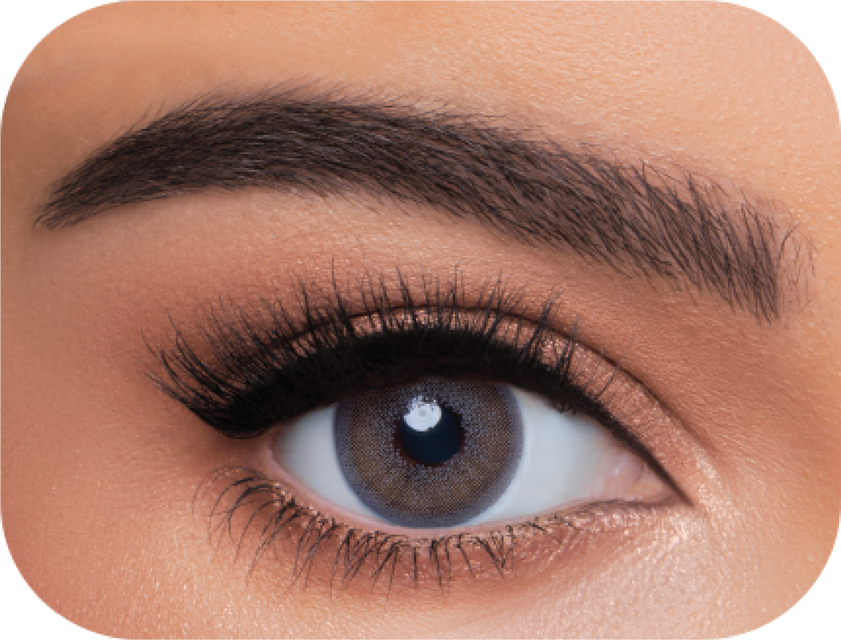 WonderLook (4 Packs) Cosmetic