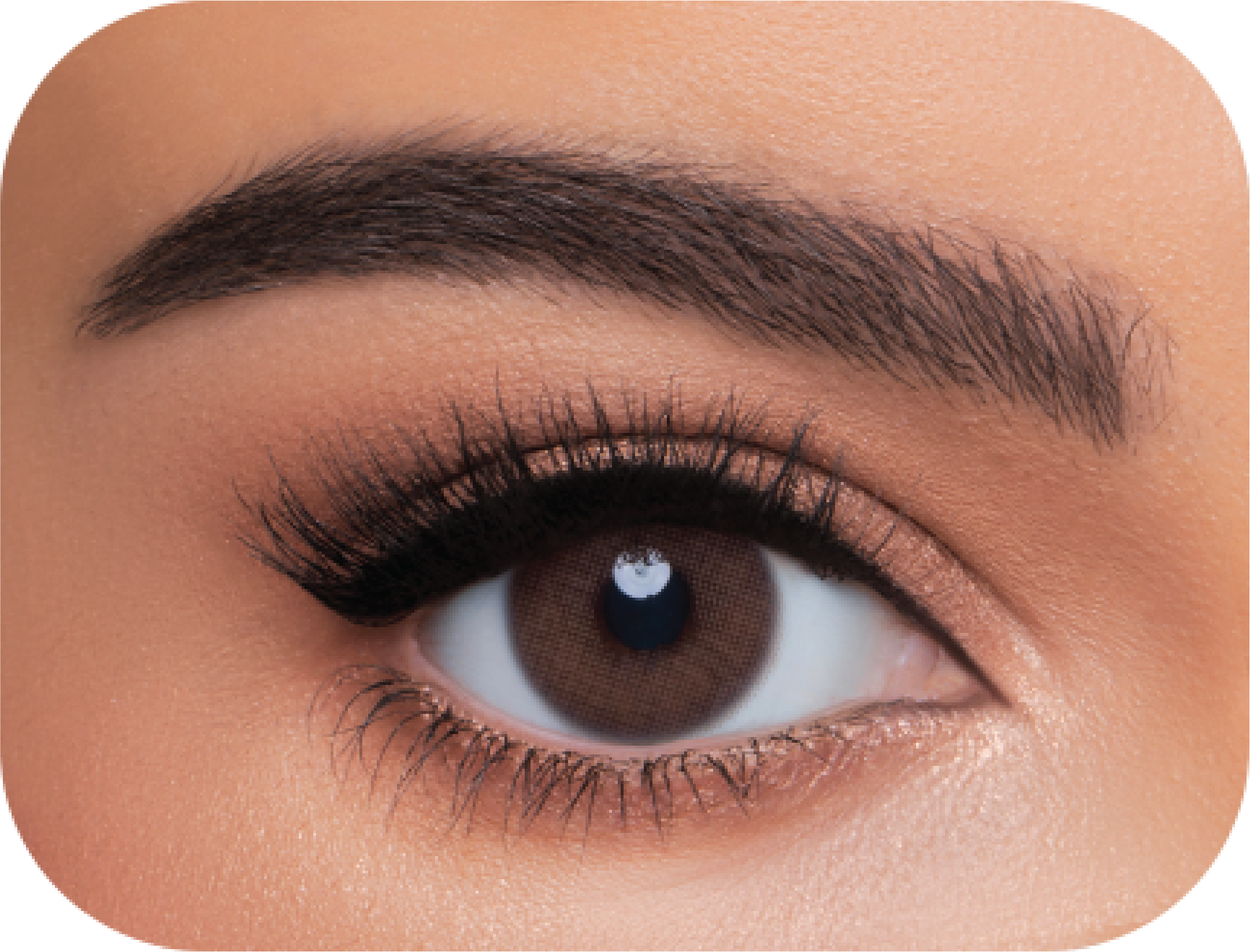 WonderLook (4 Packs) Cosmetic