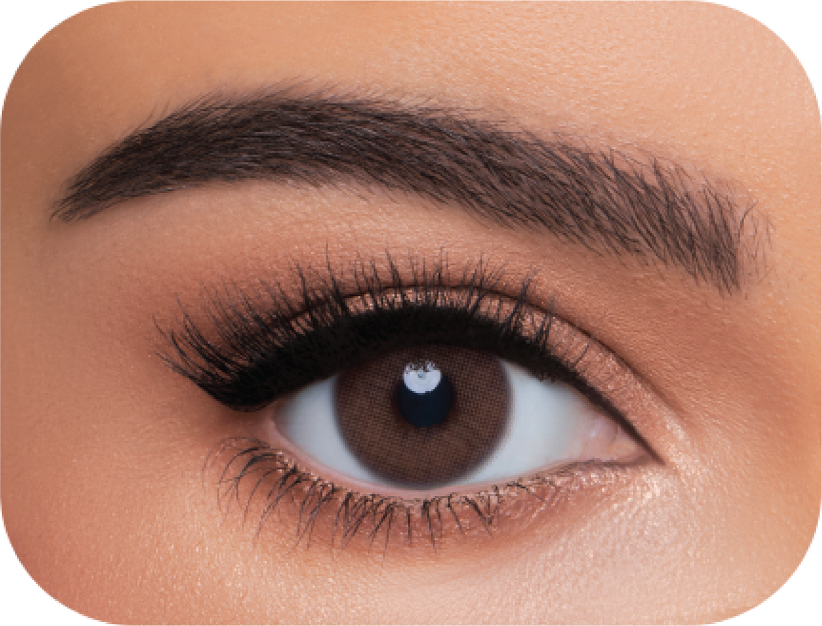 WonderLook (4 Packs) Cosmetic