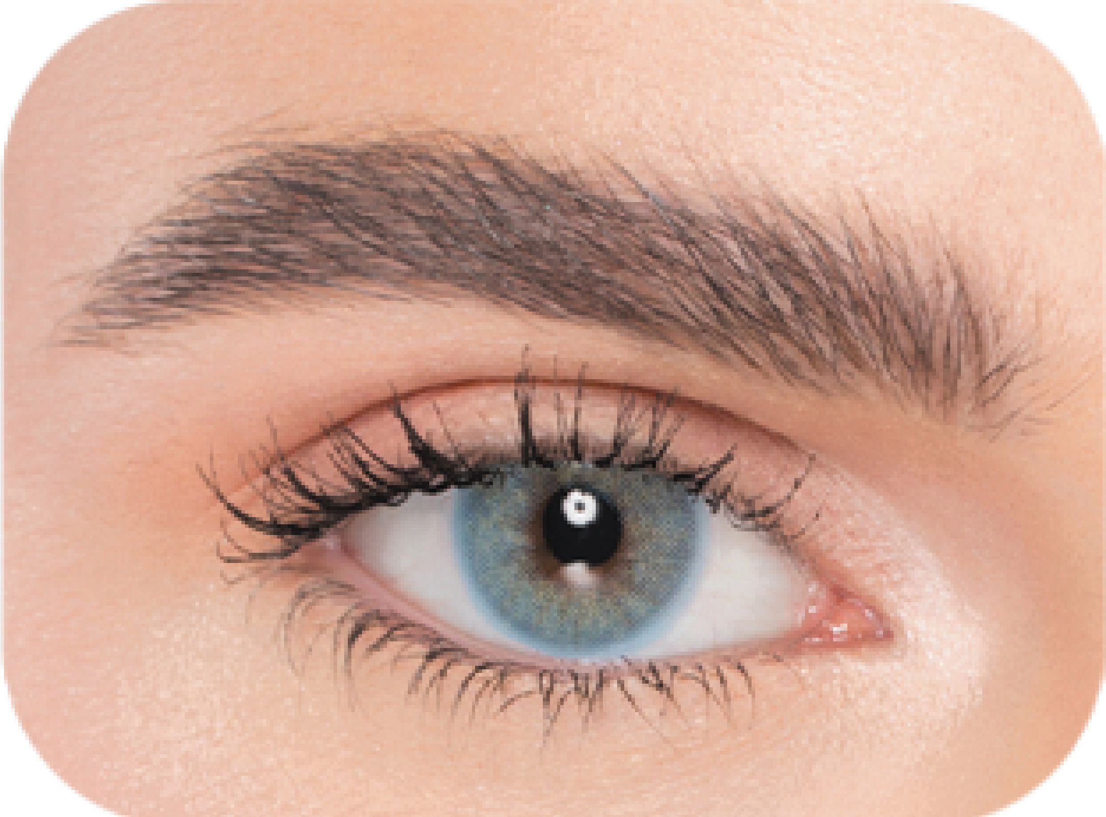 Naturel (3 Packs) Cosmetic