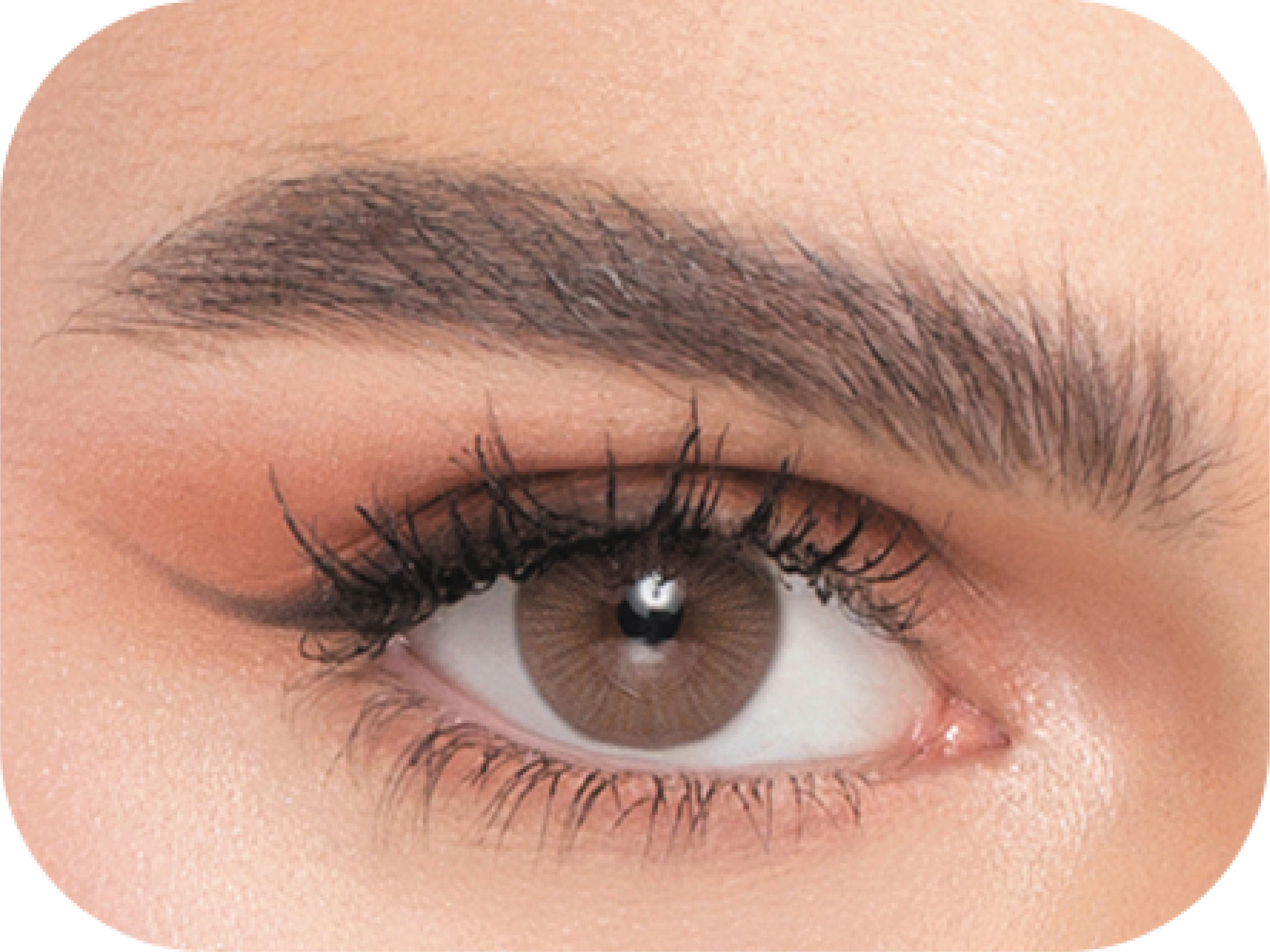 Naturel (3 Packs) Cosmetic