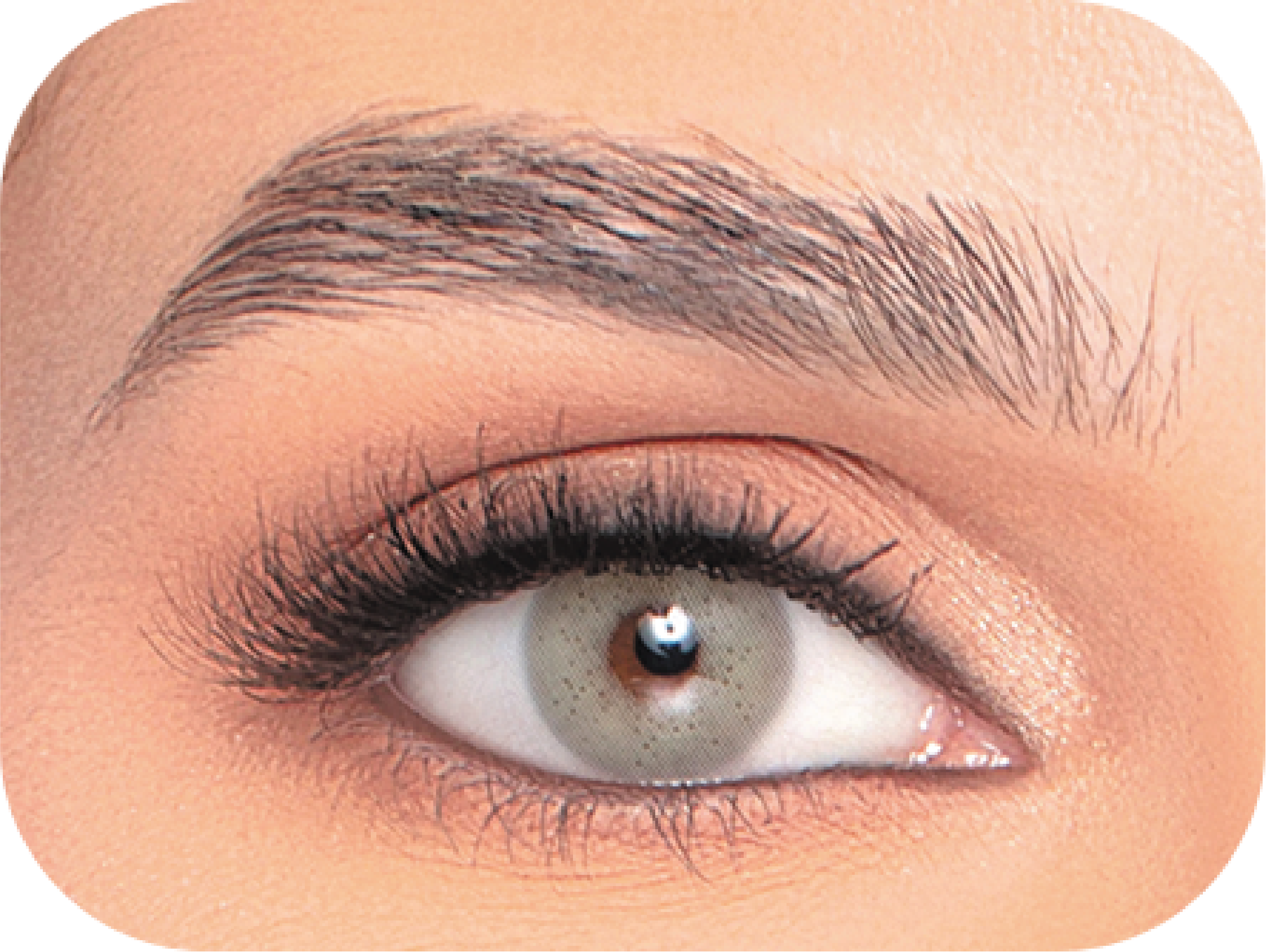 Naturel (3 Packs) Cosmetic