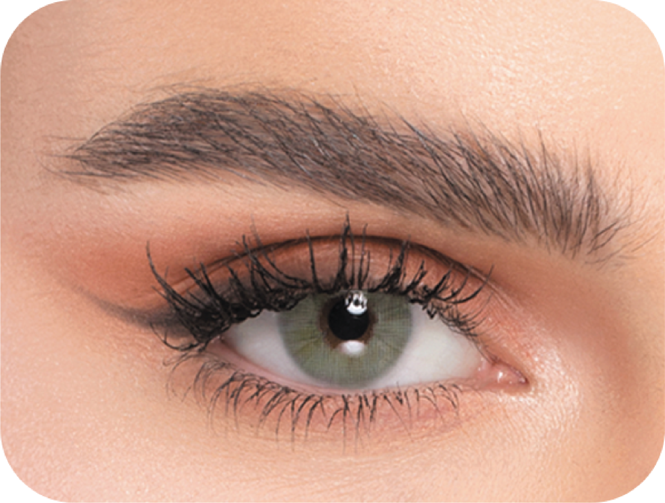 Naturel (3 Packs) Cosmetic