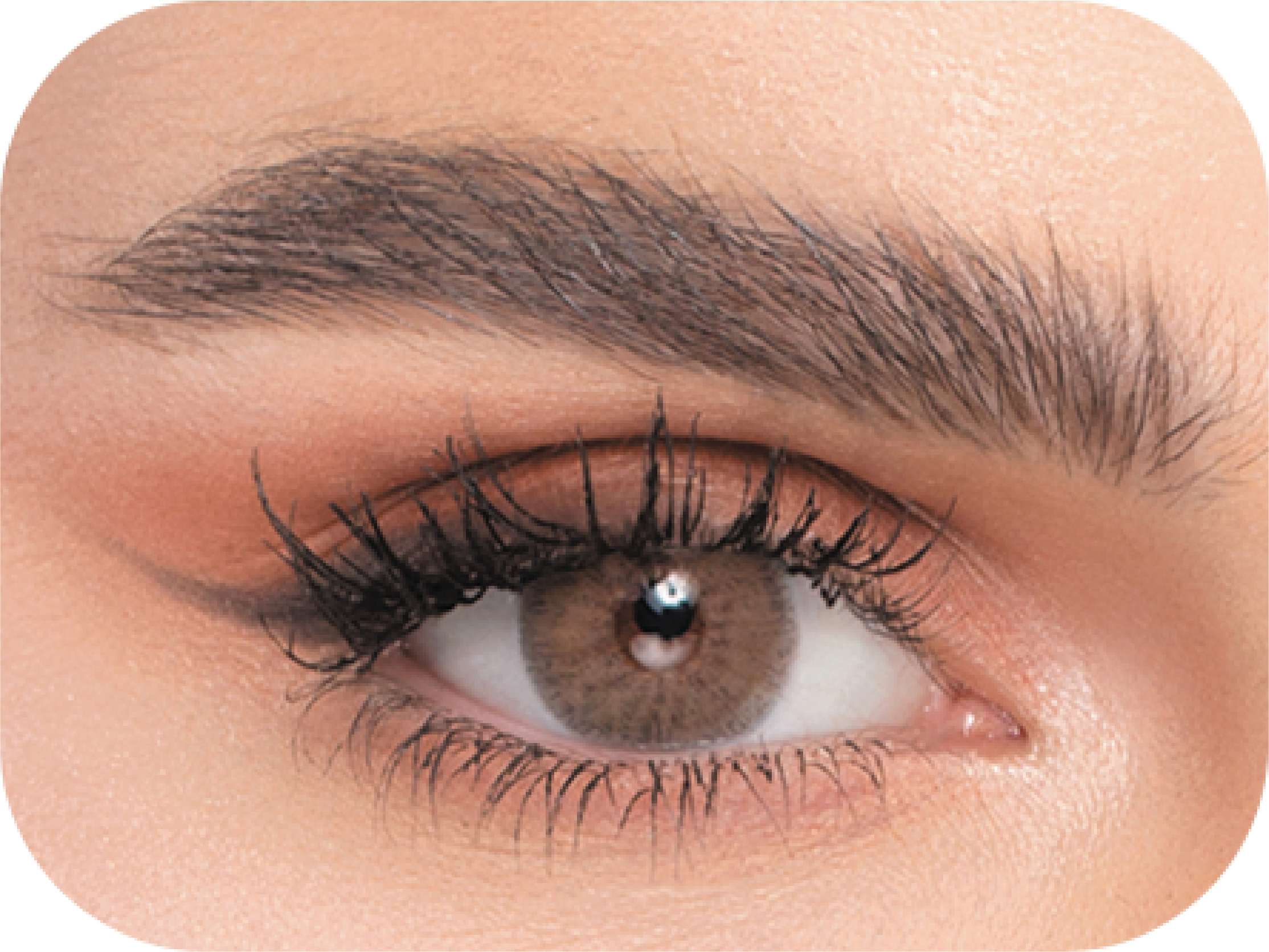 Naturel (3 Packs) Cosmetic