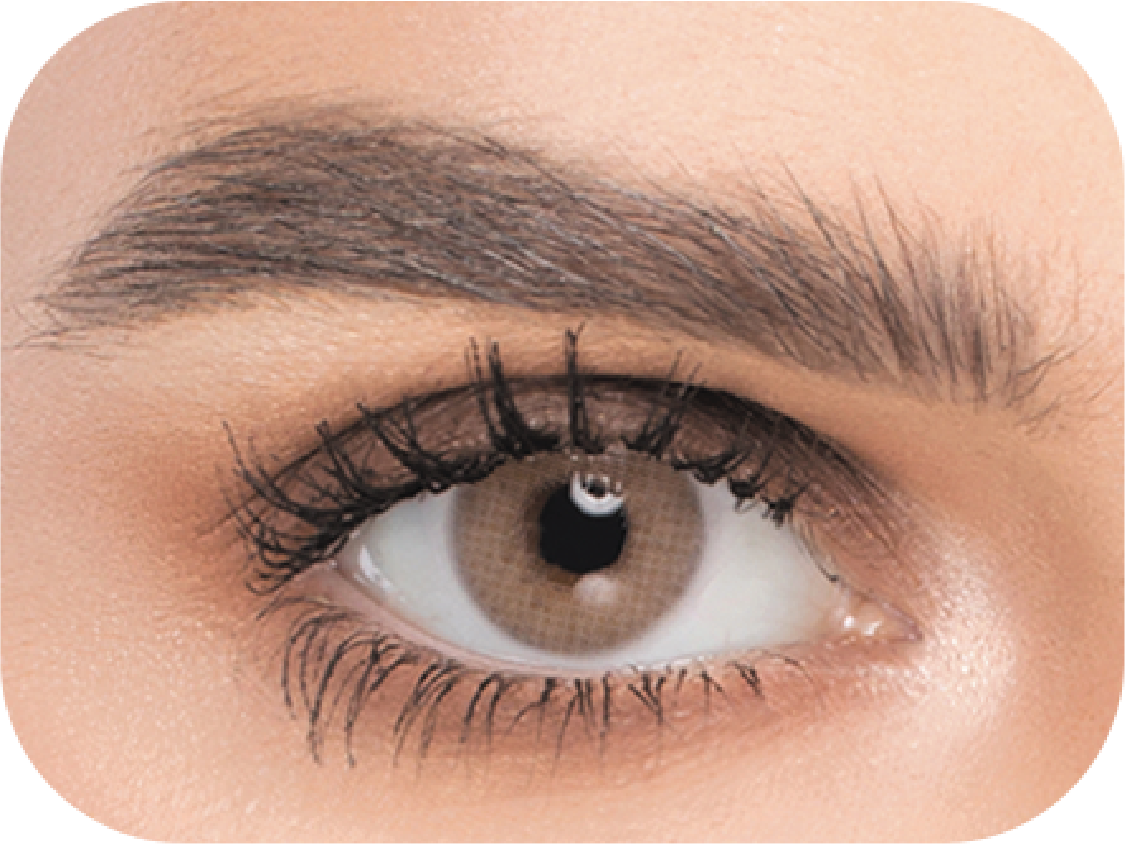 Naturel (3 Packs) Cosmetic