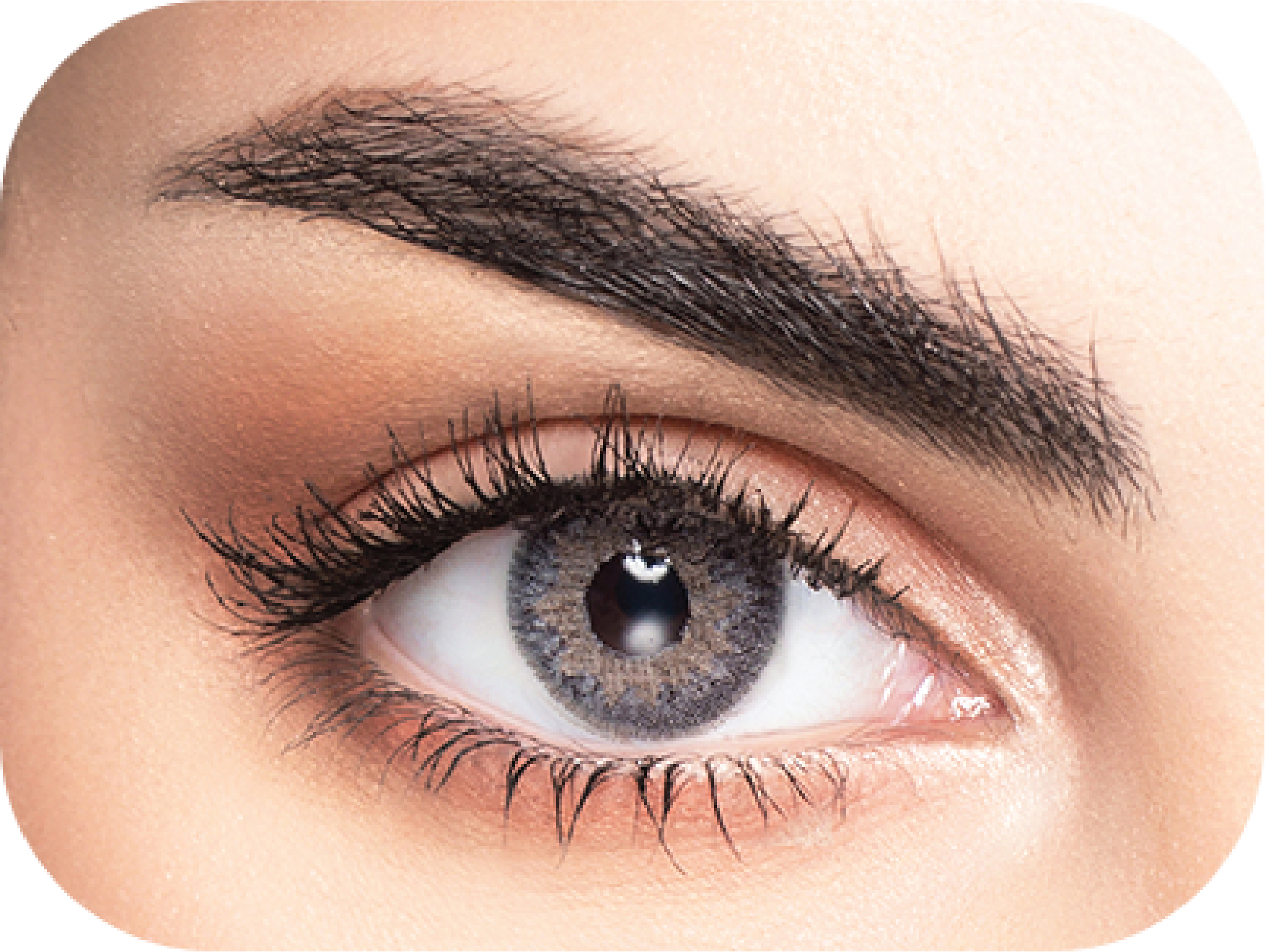 MyLense Light Gray