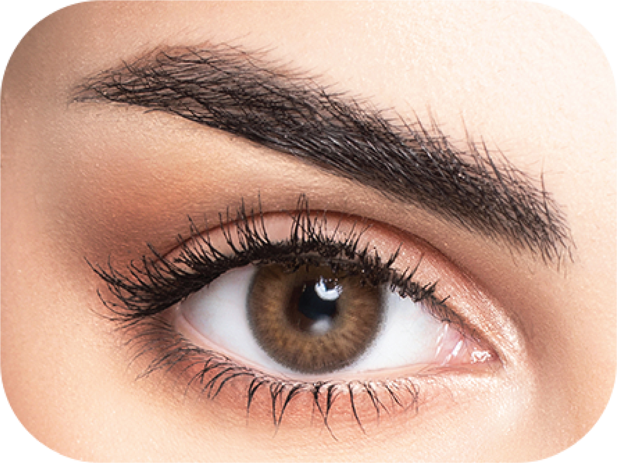 MyLense Oro Brown
