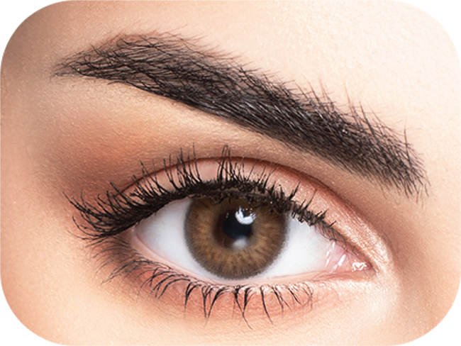 MyLense Oro Brown