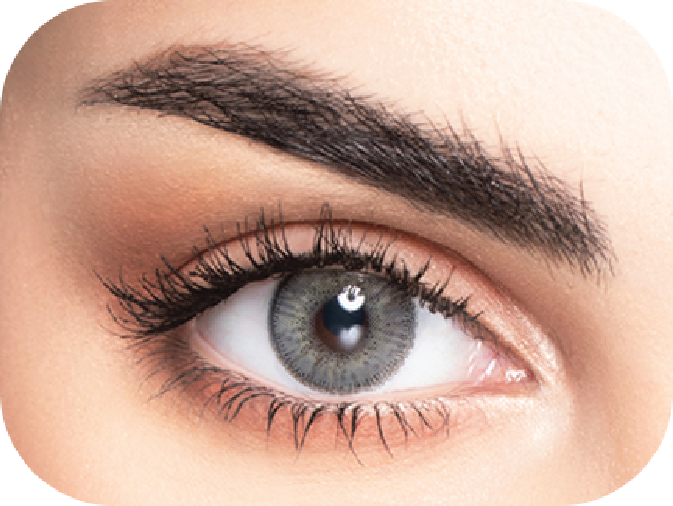 MyLense Oro Gray