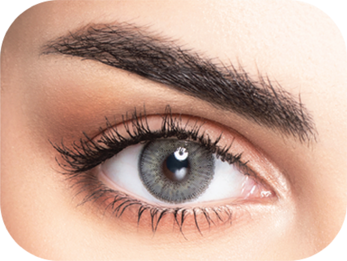 MyLense Oro Gray