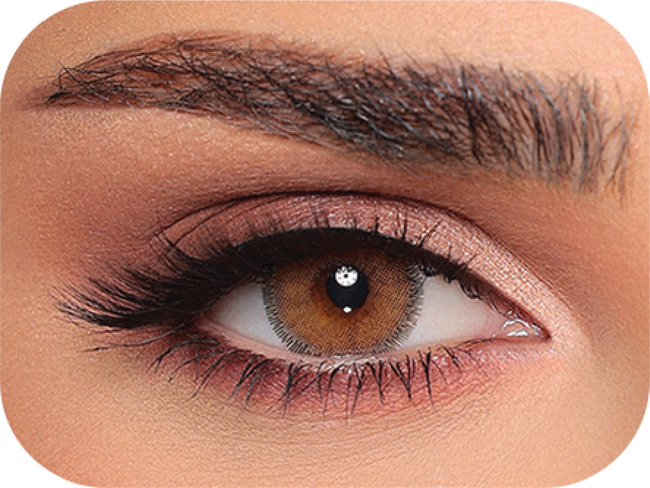 Luminous Latin Brown