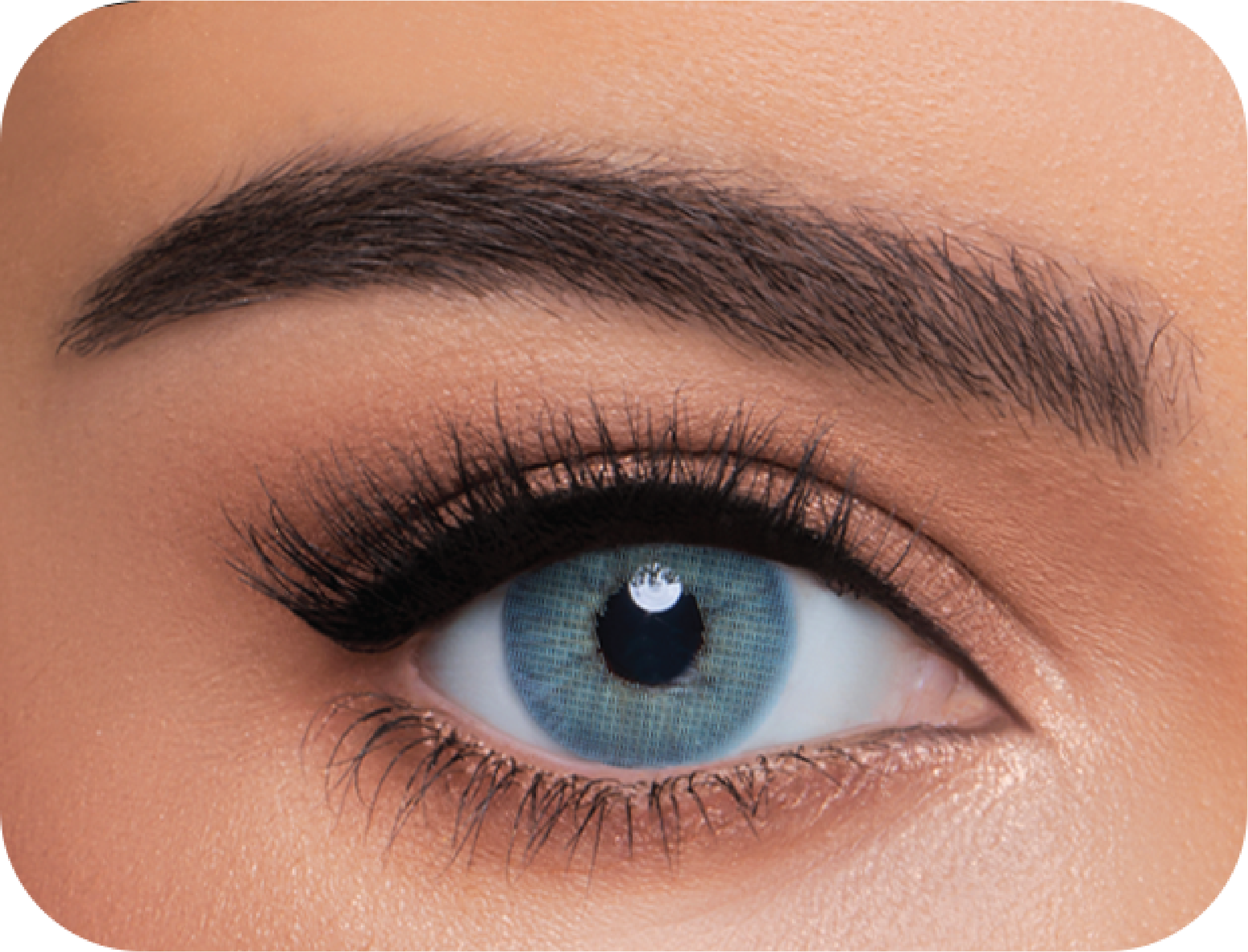 Wonderlook Navy